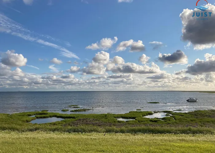 Haus Petra 132 - 2 Lejlighed Juist